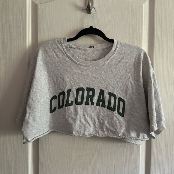 Grey cropped brandy Melville tee - Picture 1 of 3